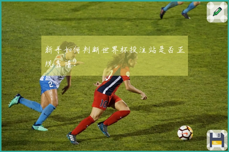 新手如何判断世界杯投注站是否正规靠谱？