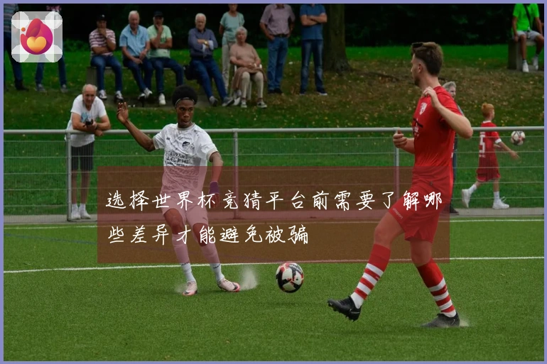选择世界杯竞猜平台前需要了解哪些差异才能避免被骗